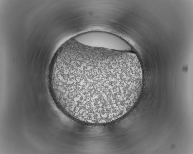 X0000091510991200709141351