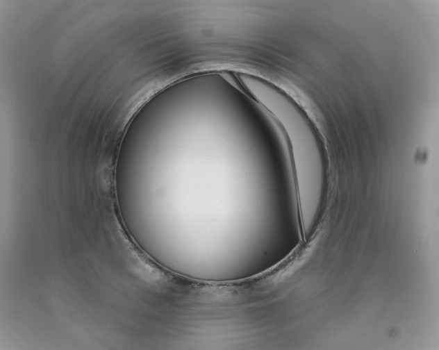 X0000091510993200709141351