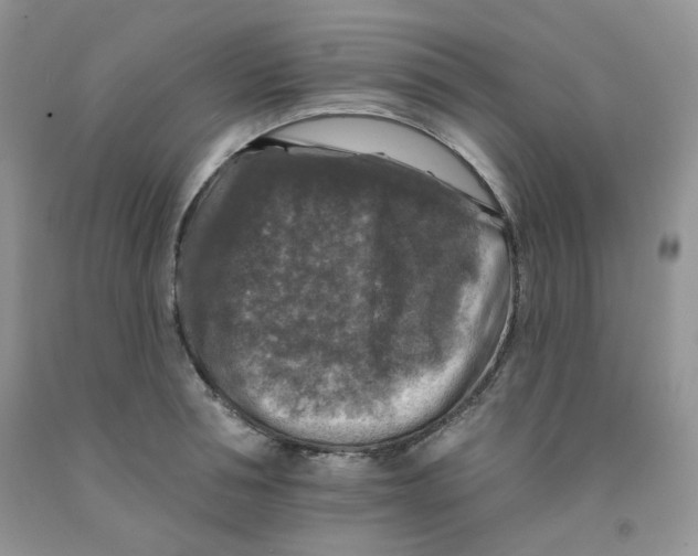 X0000091510994200709141351