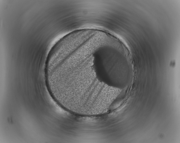 X0000091510995200709141351