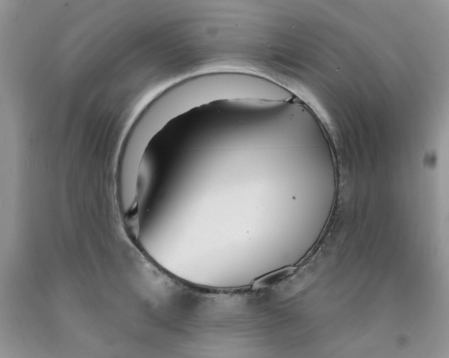 X0000091510996200709141351