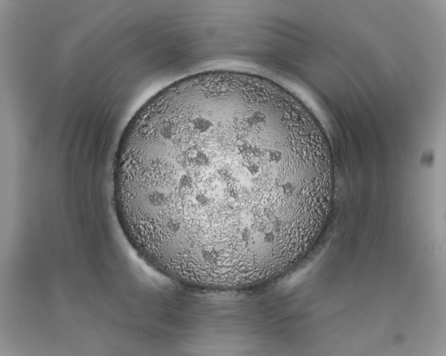 X0000091510999200709141351