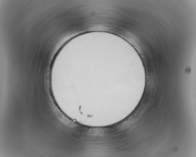 X0000091511000200709141351