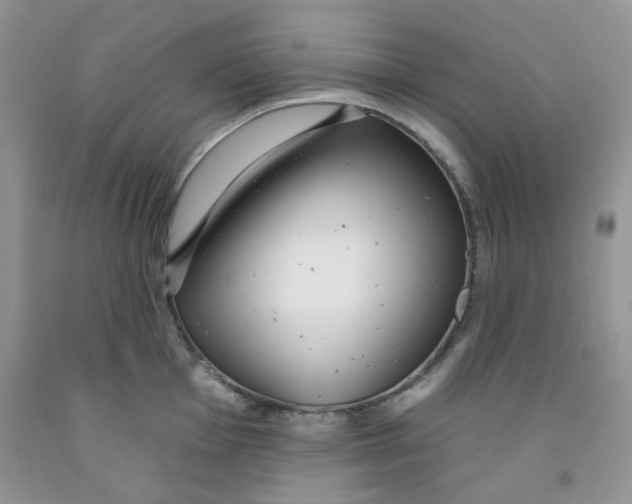 X0000091511001200709141351