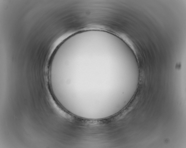 X0000091511003200709141351