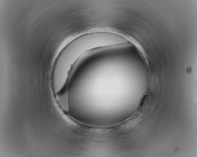 X0000091511005200709141351