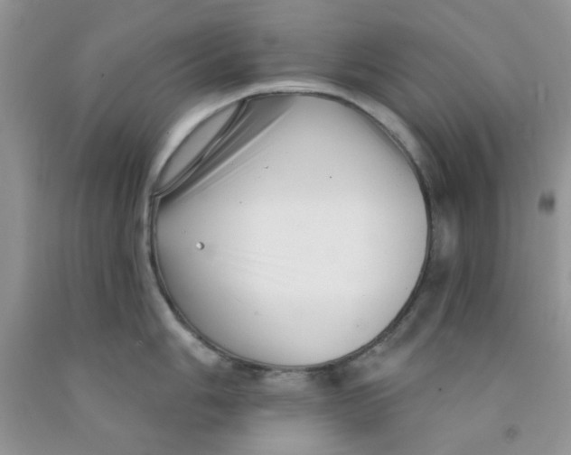 X0000091511006200709141351