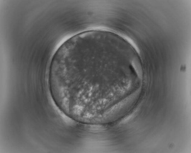 X0000091511007200709141351