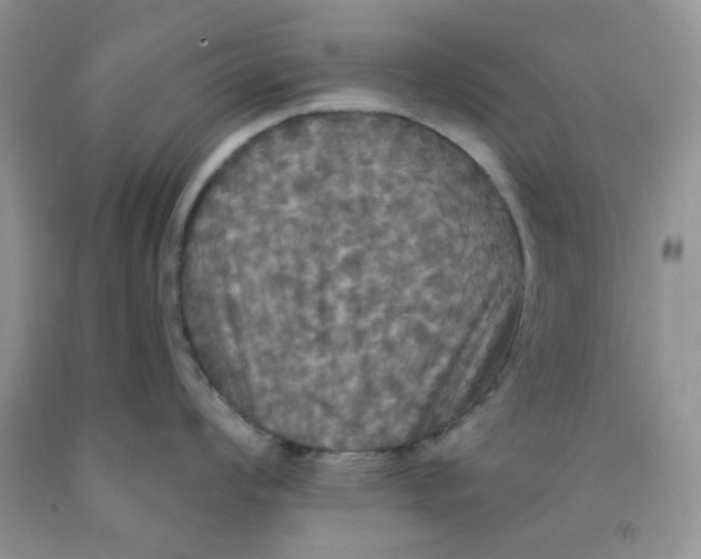 X0000091511008200709141351