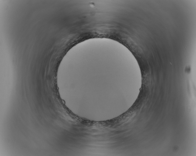 X0000091511009200709141350