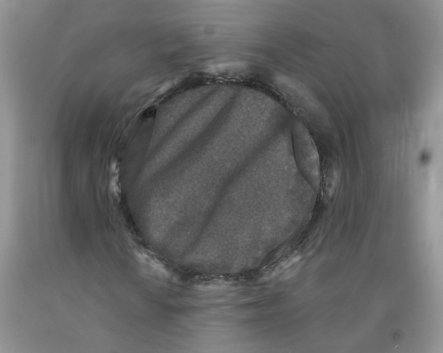 X0000091511010200709141350