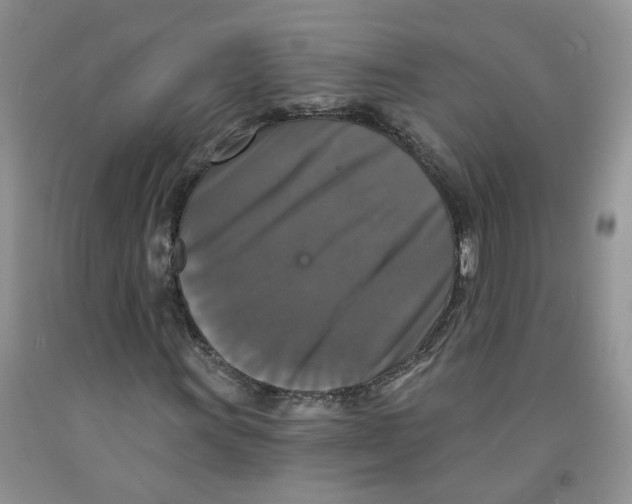 X0000091511011200709141350