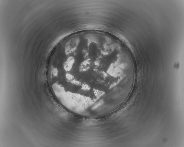 X0000091511019200709141351