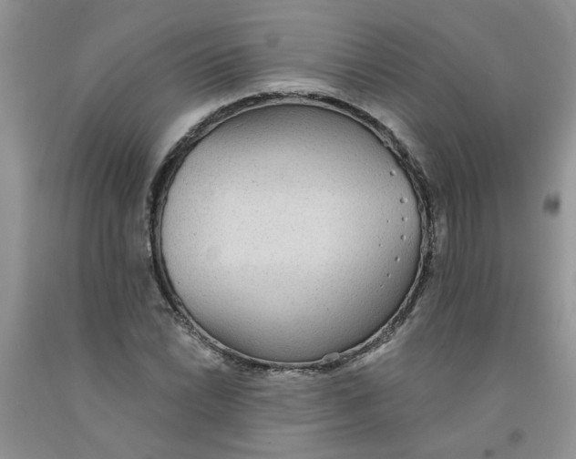 X0000091511022200709141351