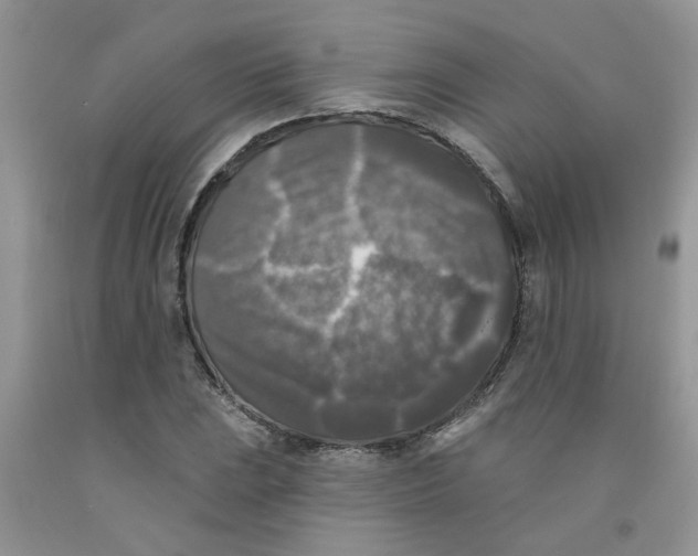 X0000091511023200709141351