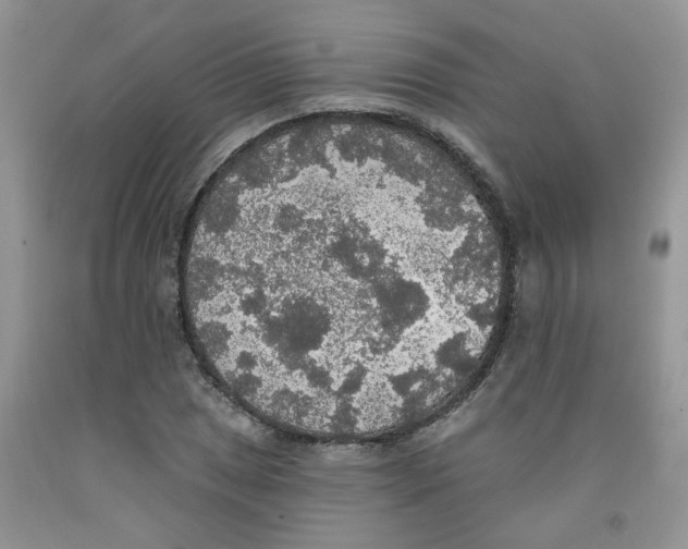 X0000091511025200709141351