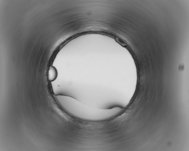 X0000091511026200709141351