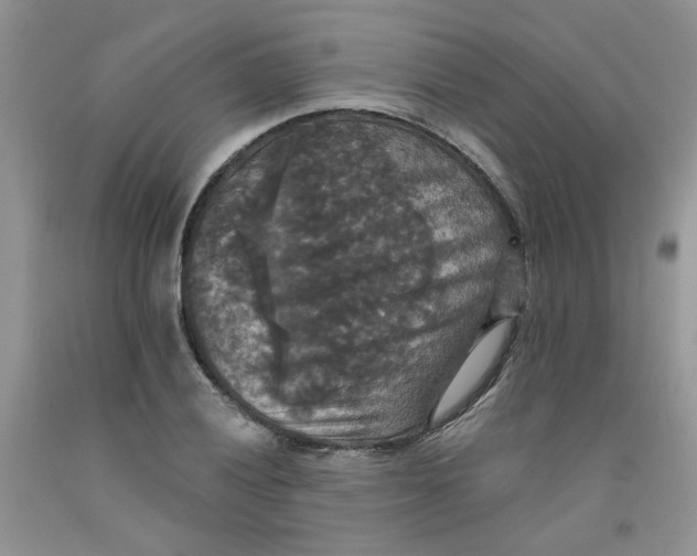 X0000091511028200709141351