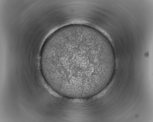 X0000091511029200709141351