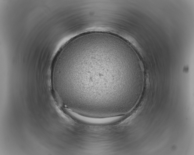 X0000091511030200709141351