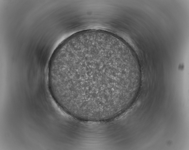 X0000091511032200709141351