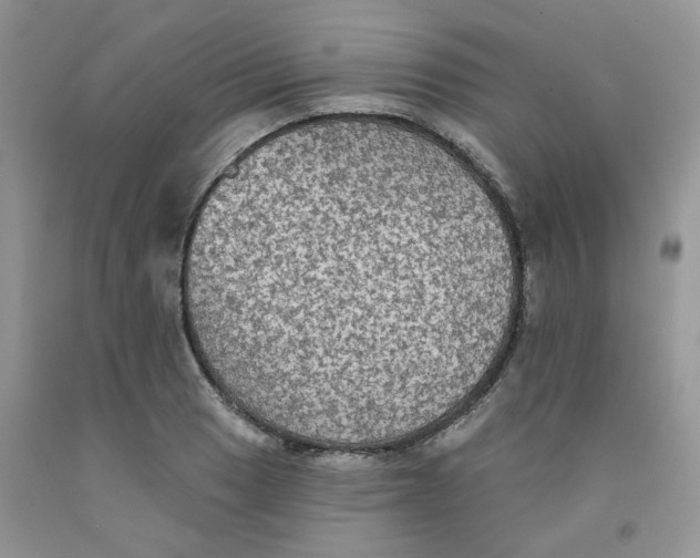 X0000091511033200709141351