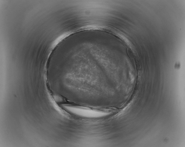 X0000091511034200709141351