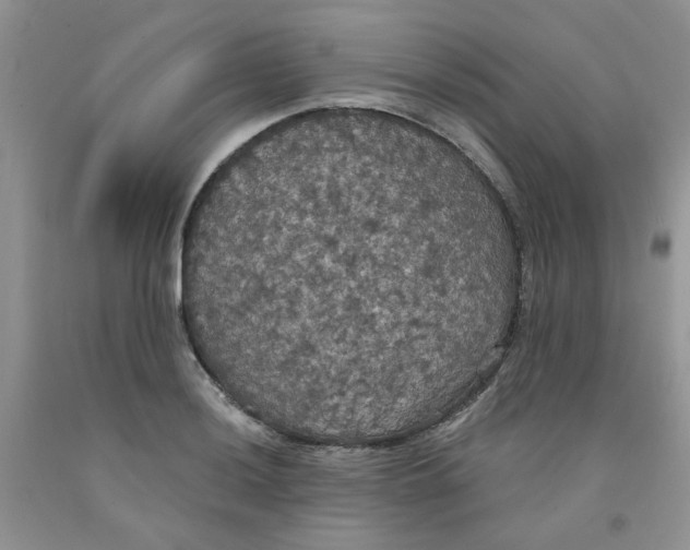 X0000091511036200709141351