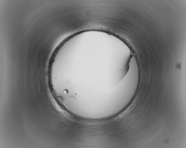 X0000091511038200709141351