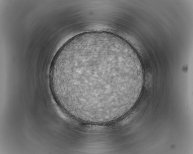 X0000091511039200709141351