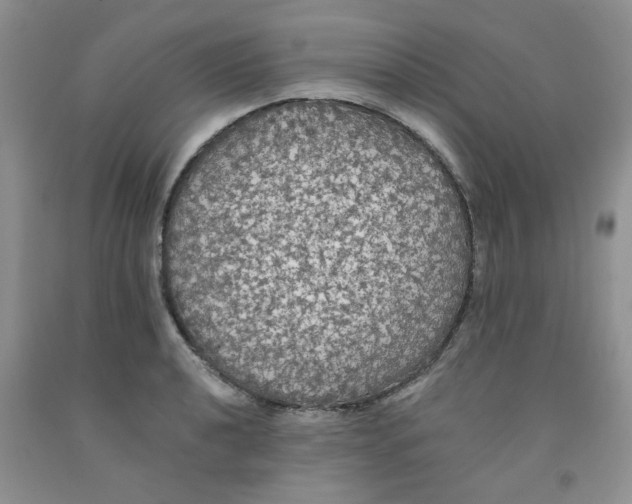 X0000091511040200709141351