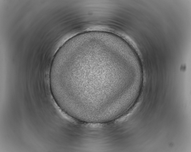 X0000091511041200709141351