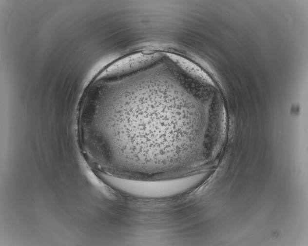 X0000091511042200709141351