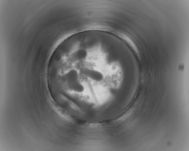 X0000091511043200709141351