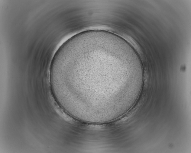 X0000091511044200709141351