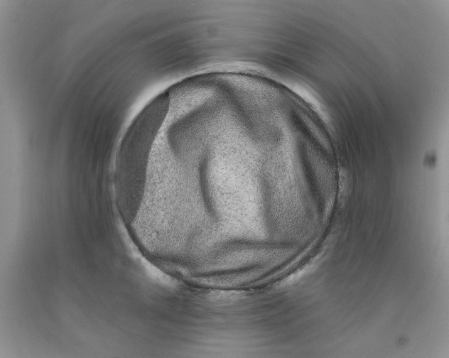 X0000091511046200709141351