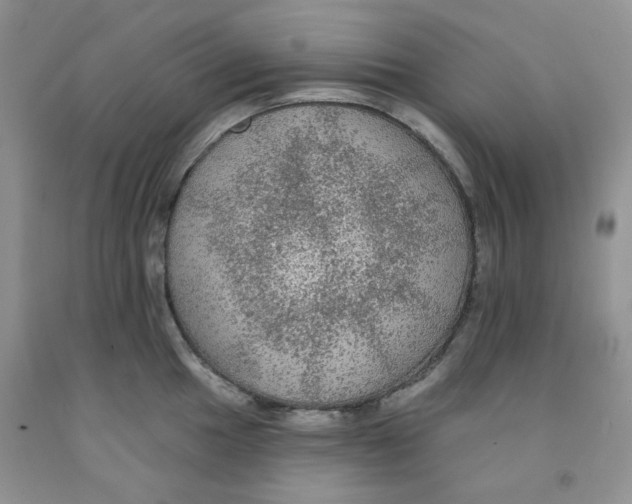 X0000091511049200709141351