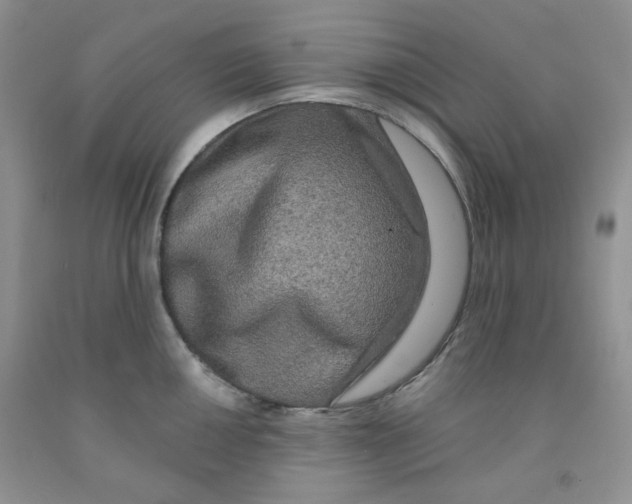 X0000091511050200709141351