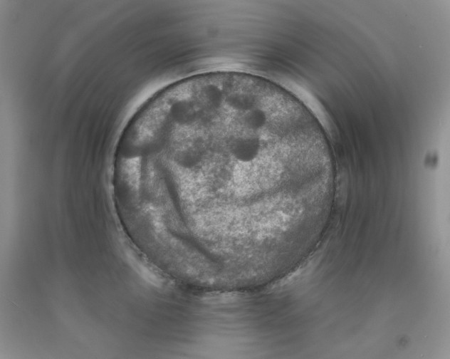 X0000091511051200709141351