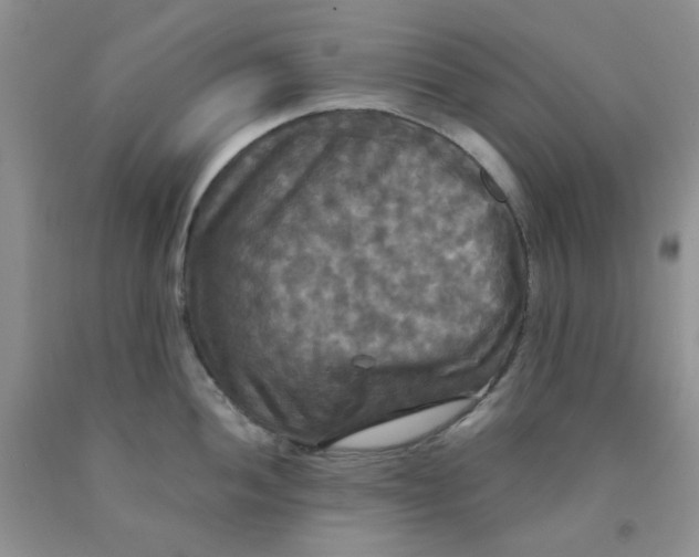 X0000091511052200709141351