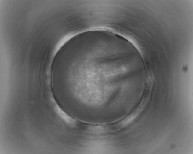 X0000091511054200709141351