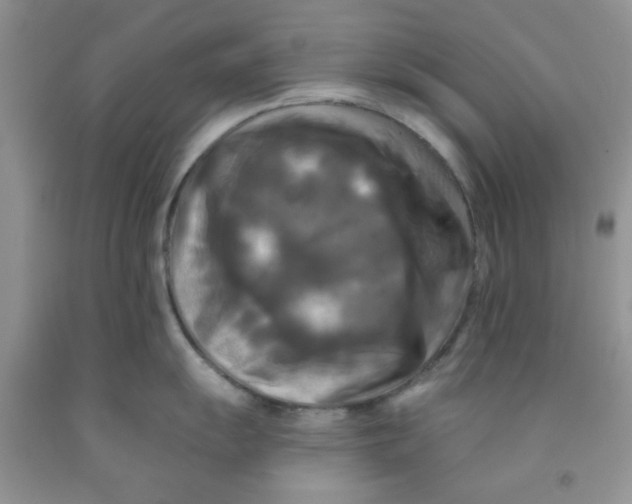 X0000091511055200709141351