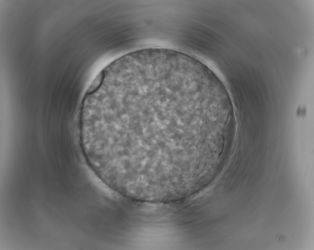 X0000091511056200709141351