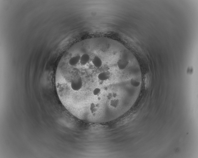 X0000091511059200709141350