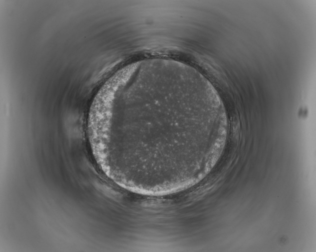 X0000091511060200709141350