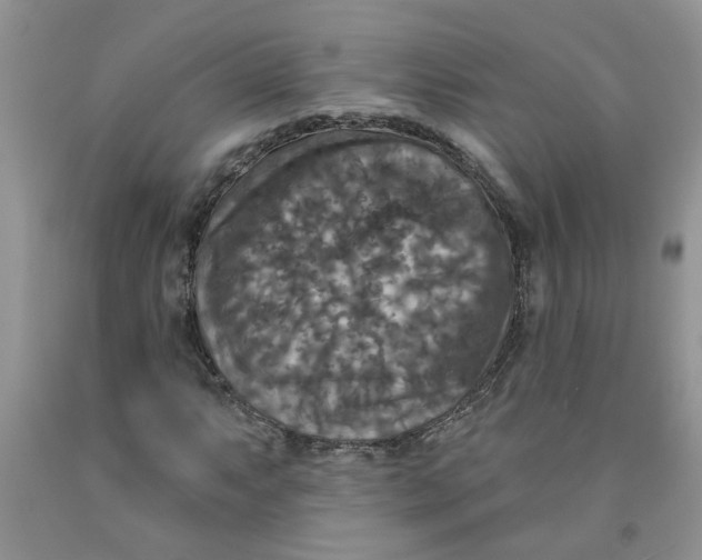 X0000091511063200709141350