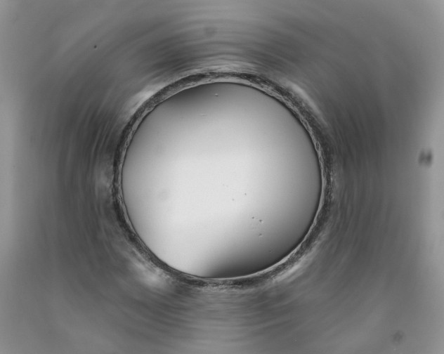 X0000091511065200709141350