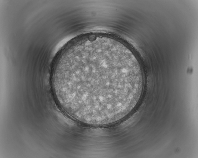 X0000091511066200709141350