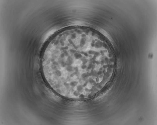 X0000091511067200709141350