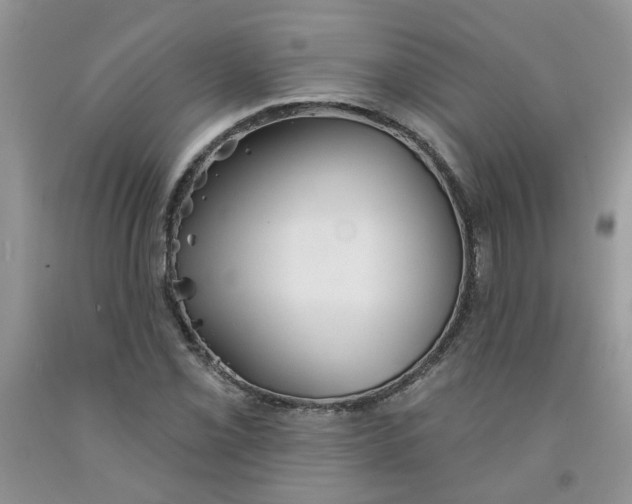 X0000091511069200709141350